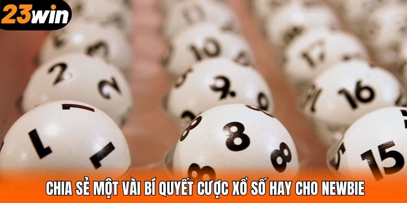 Chia sẻ một vài bí quyết cược xổ số hay cho newbie