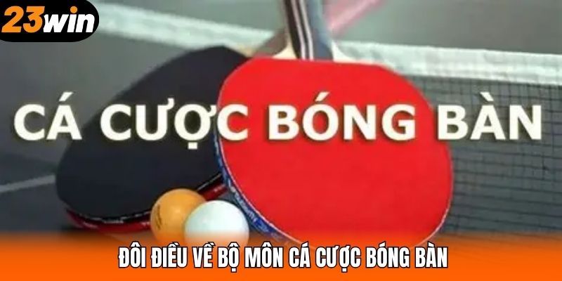 Đôi điều về bộ môn cá cược bóng bàn