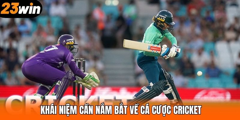 Khái niệm cần nắm bắt về cá cược Cricket