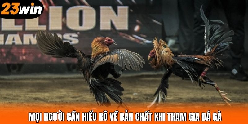 Mọi người cần hiểu rõ về bản chất khi tham gia đá gà
