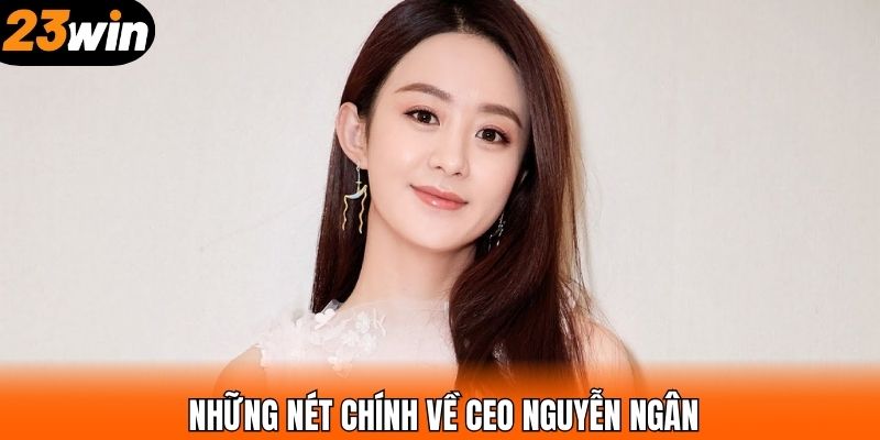 Những nét chính về CEO Nguyễn Ngân