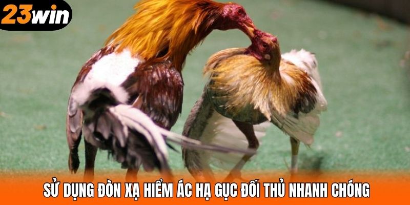 Sử dụng đòn xạ hiểm ác hạ gục đối thủ nhanh chóng