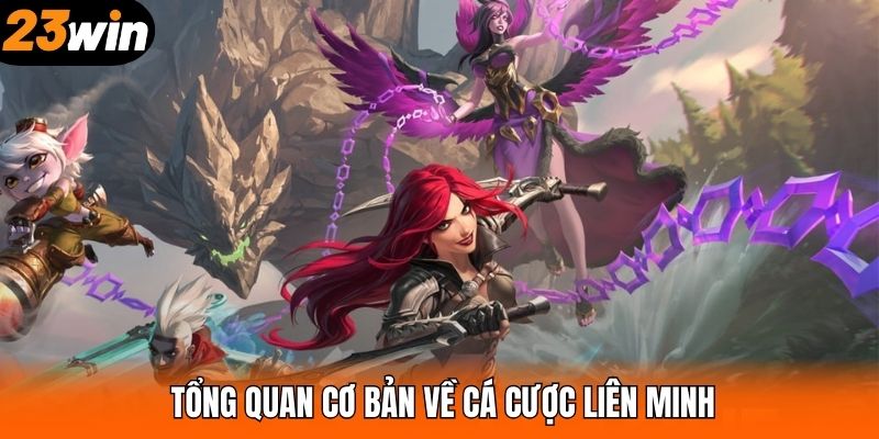 Tổng quan cơ bản về cá cược liên minh